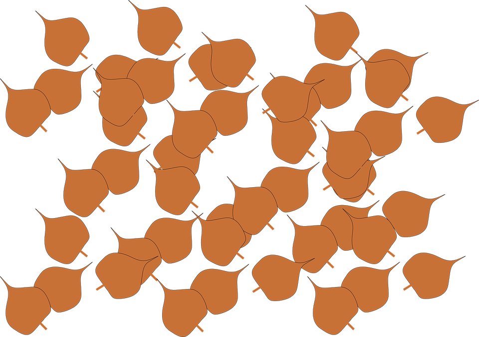 Falling Leaves Clipart - Fall Leaves Clip Art (960x675)