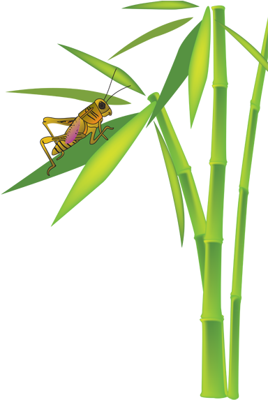 Grasshopper On Bamboo Plant - Bamboo Grasshopper (400x572)