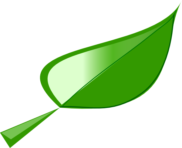 Leaves Clipart Bamboo Leaf - Clip Art (600x488)