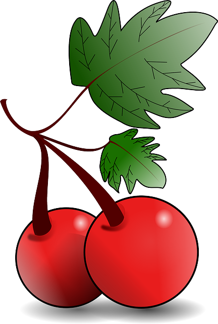 Green, Apple, Food, Fruit, Drawing, Leaf, Tree - Fruit Clip Art (432x640)