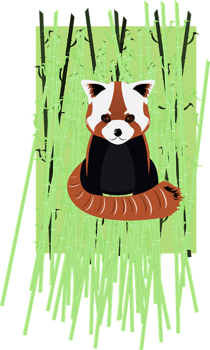 Bamboo Cliparts 24, - Red Panda Painting Journal: Take Notes, Write Down (432x720)