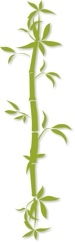 Best Clipart Png Bamboo - Bamboo Png (243x789)