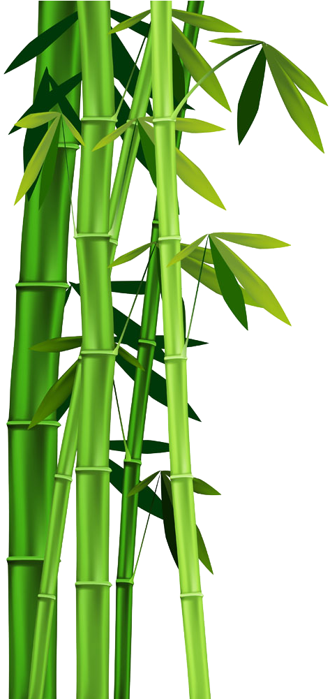 Bamboo Plant Stem Clip Art - Faceapeel Blackhead Remover Mask [removes Blackheads] (493x1000)