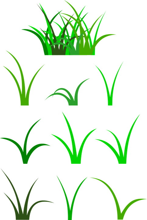 Bamboo Cliparts Free 21, - Blade Of Grass Clip Art (483x720)