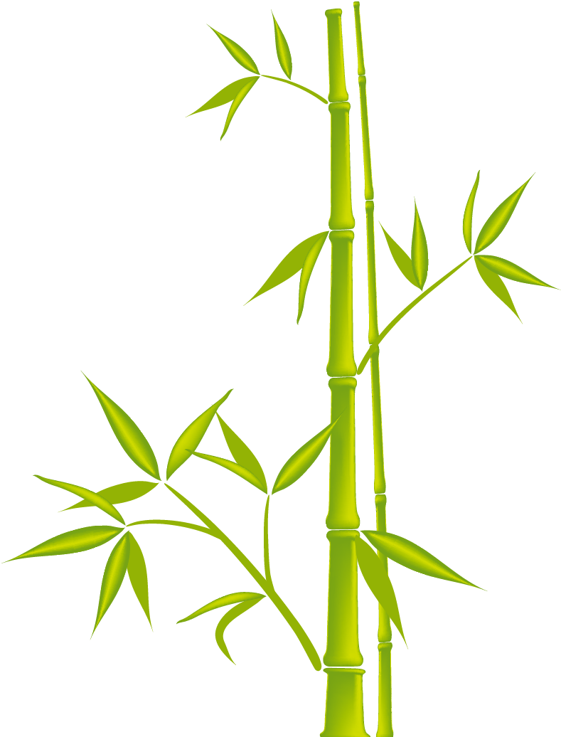 Bamboo Royalty Free Clip Art Bamboo 1042 1042 Transprent - Bamboo Royalty Free Clip Art Bamboo 1042 1042 Transprent (1042x1042)