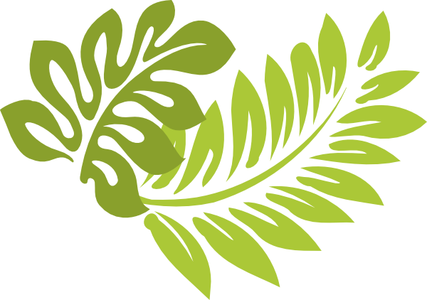 Fascinating Images, Z/2010162098 - Tropical Leaves Clip Art (600x422)
