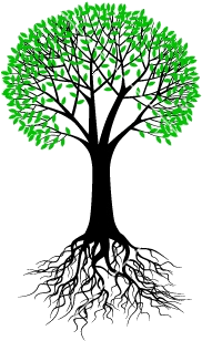 Tree Branch Vector Png About Us - Tree With Roots Vector (380x400)