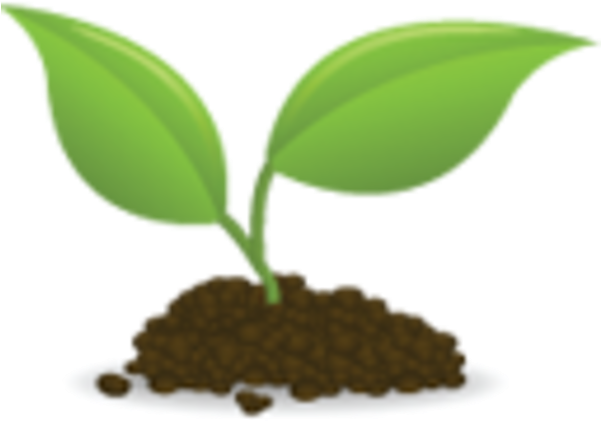 Tree Roots Clip Art Download - Seedling Clipart (600x600)