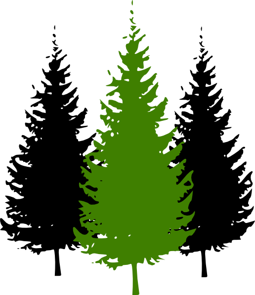 Redwood Tree Drawing With Roots For Kids - Pine Tree Silhouette (516x598)