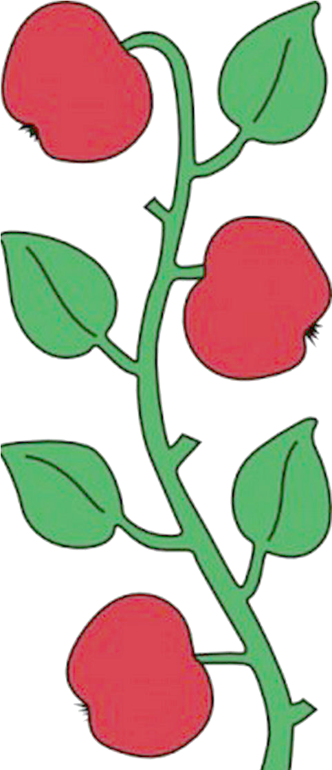 Apple Branch Scalable Vector Graphics Clip Art - Apple Branch Scalable Vector Graphics Clip Art (490x1197)