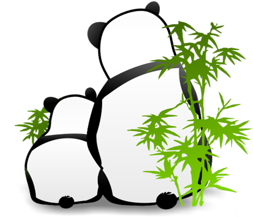 Pandas And Bamboo - Quite Buddha Meditating - Buddhism Religion Highest (500x500)