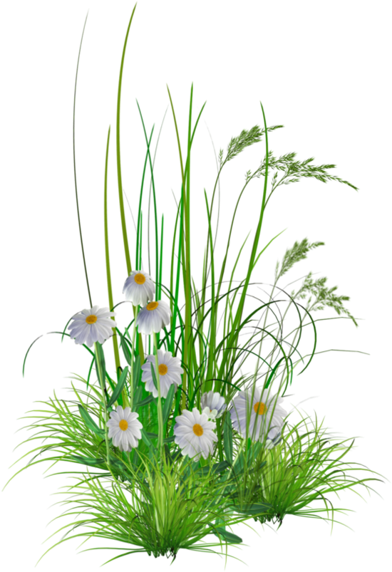 Garden Png Hd (887x900)