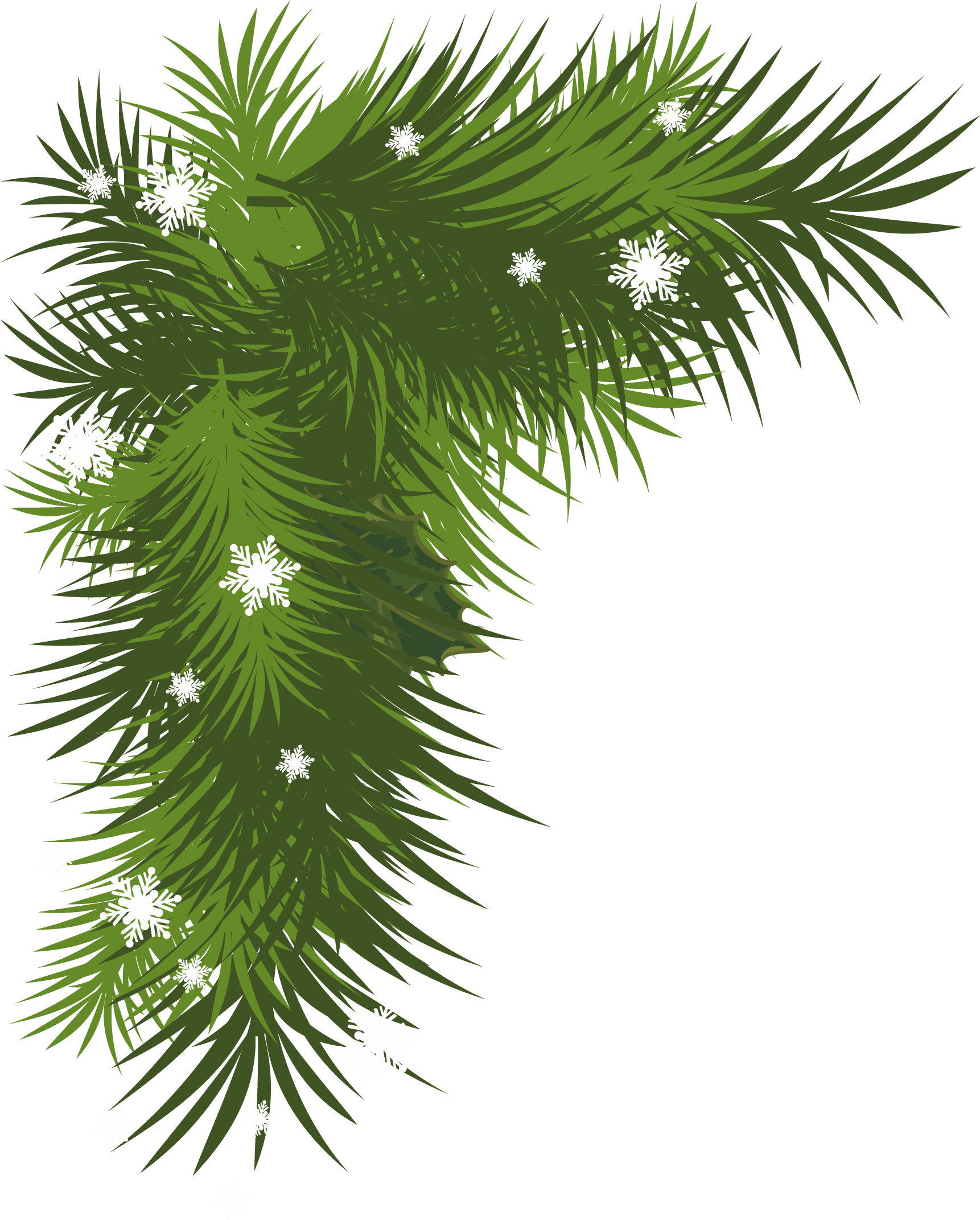 Branch Spruce Christmas Tree Vector - Christmas Day (1745x2179)