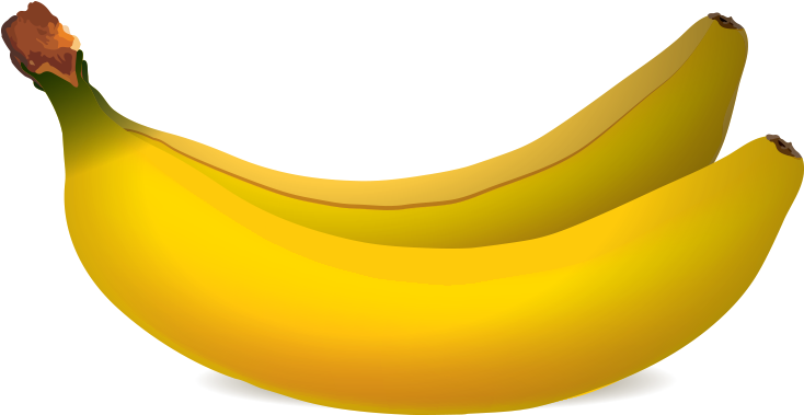 Two Bannas Vector Illustration Free Png Graphic Cave - Vector Graphics (1200x628)