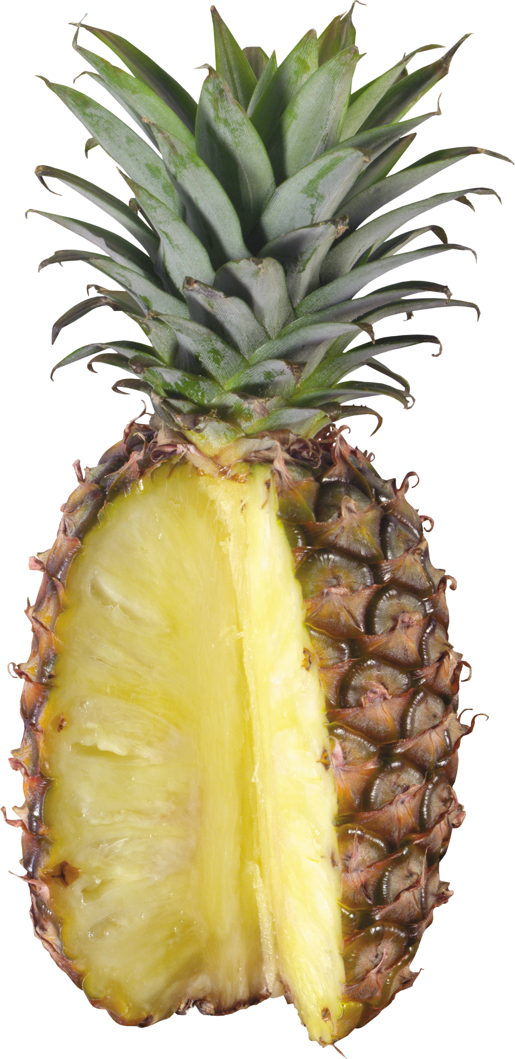 Ananas Png (1746x3593)