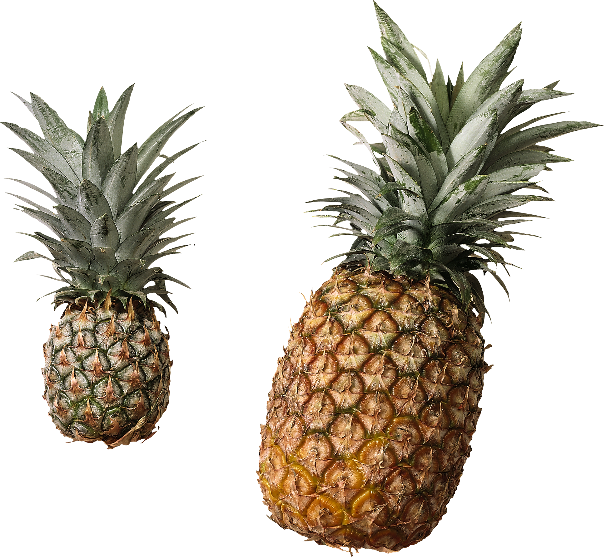 Best 25 Pineapple Clipart Ideas On Mzayat - Pineapple Transparent Background Png (1940x1785)