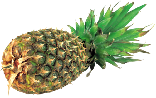 Pineapple, Clipart, Food, Pine Apple - Ананас Png (500x314)