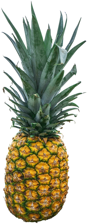 Green Pineapple Cliparts 16, Buy Clip Art - Reasons Why Pineapple Should Go On Pizza: Proving Why (287x720)