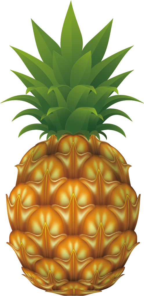 Pineapple Drawing Clip Art - Pineapple Drawing Clip Art (1240x1170)