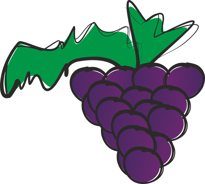 Free Grapevine Clipart 23, Buy Clip Art - Racimo De Uvas (802x720)