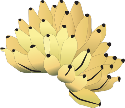 Drawn Banana Banana Bunch - Bunch Of Banana Drawing (400x345)