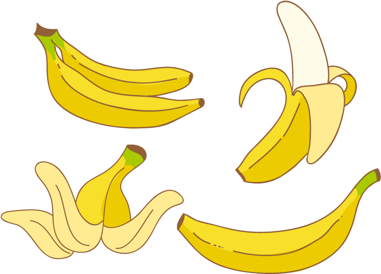 Banana Euclidean Vector Shape - Euclidean Vector (800x800)