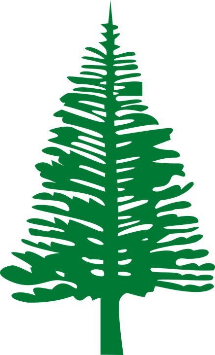 Pine Tree Vector - Norfolk Flag (438x720)