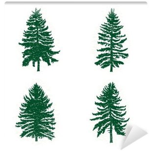 Set Of Different Silhouettes Of Green Pine Trees, Vector - Çam Ağacı Vektör (400x400)