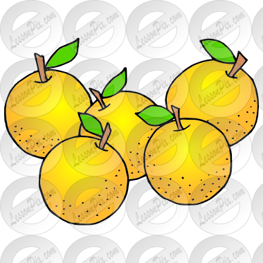 Oranges Clipart - 5 Oranges Clipart Black And White (380x380)