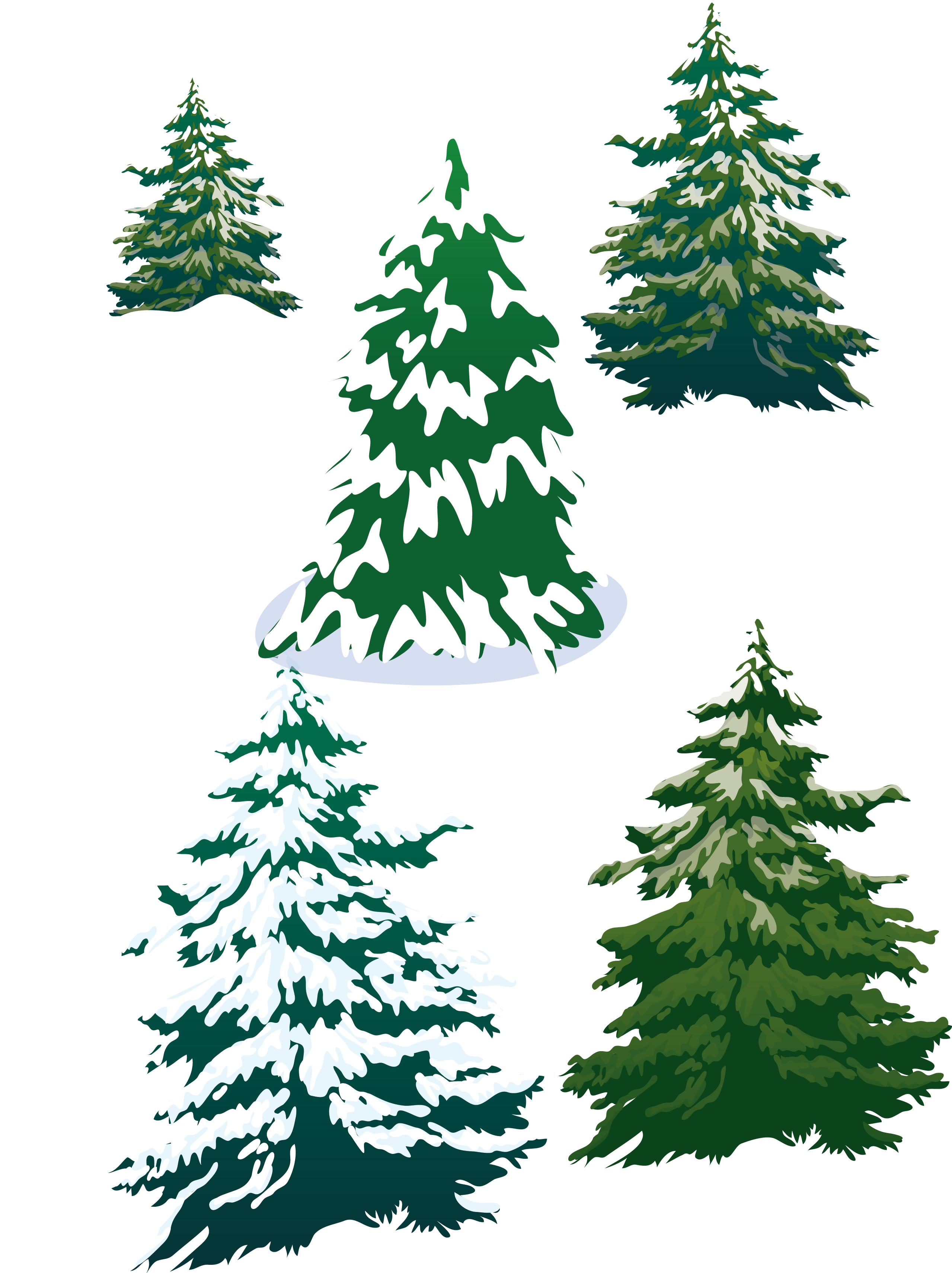 Vector Snowy Pine Trees - Vector Snowy Pine Trees (2558x3420)