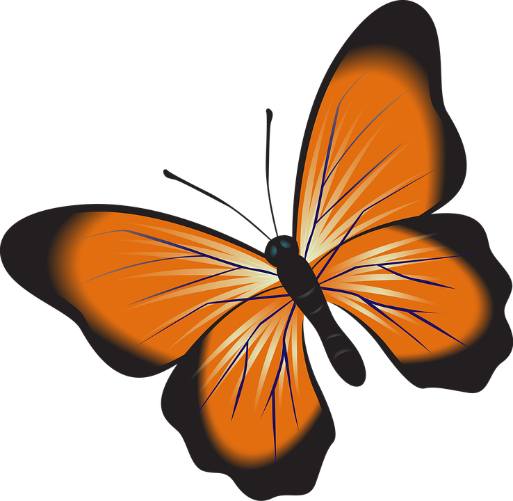 Oranges Clipart 29, Buy Clip Art - Schmetterling Clipart (738x720)