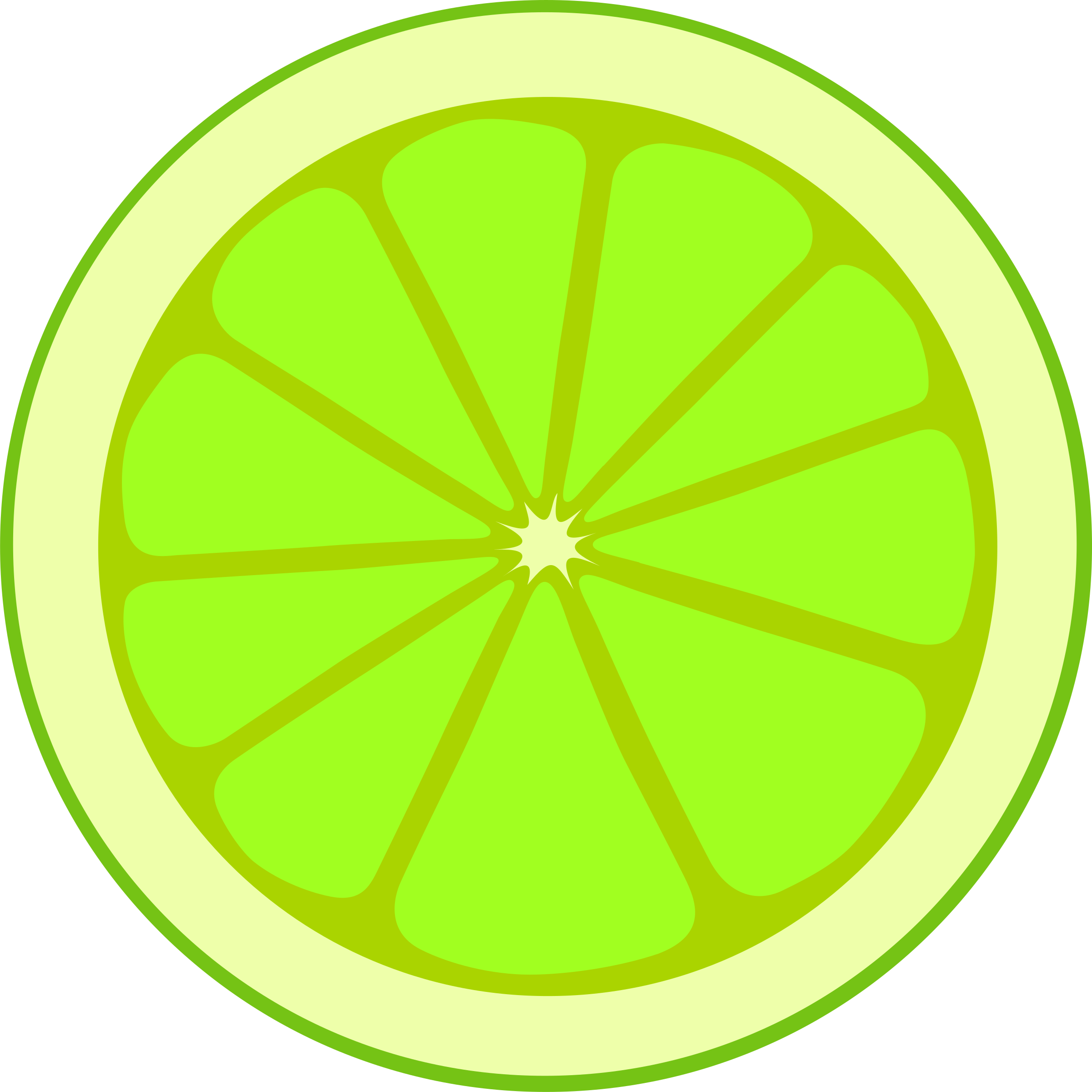 Lime Slice - Canyon County Idaho Seal (2400x2400)