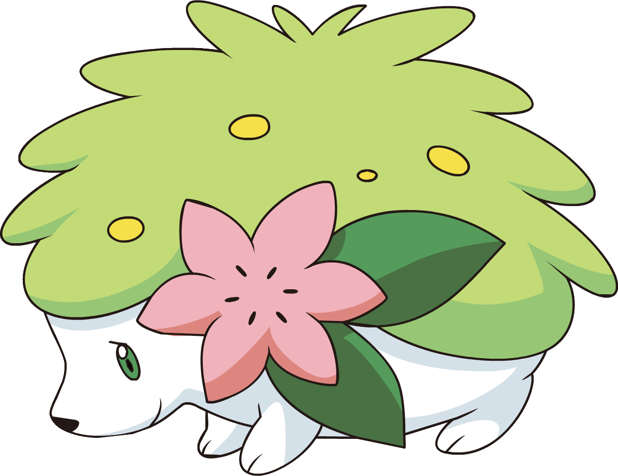 492shaymin Land Forme Dp Anime - Shaymin Clipart (1246x961)