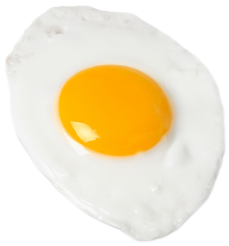Egg Fry Png (445x355)