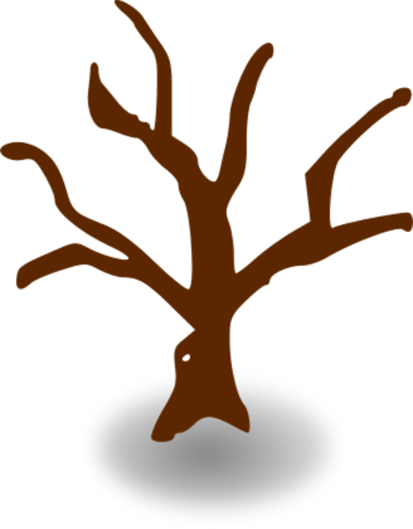 Dead Tree Cartoon Vector Clip Art - Tree Graphic Organizer Template (600x768)