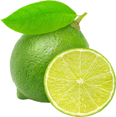Lime Slice Clipart Download - Lime Png (400x400)