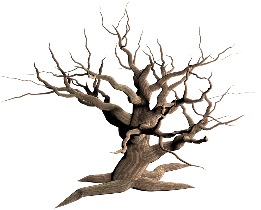 Cartoon Dead Tree 8, Buy Clip Art - Dead Tree Transparent Background (896x720)
