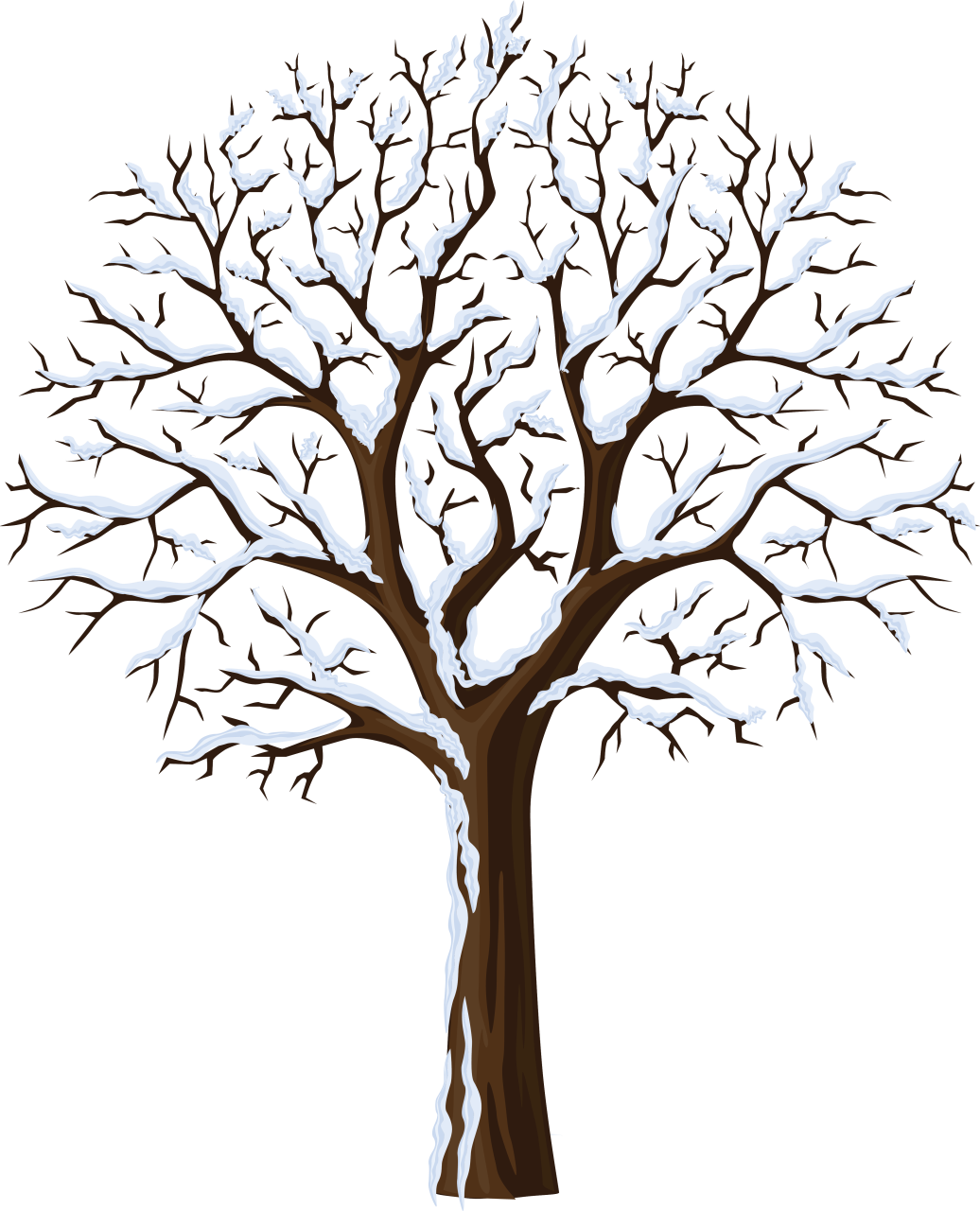 Winter Tree Clipart - Tree Winter Clip Art (1036x1280)