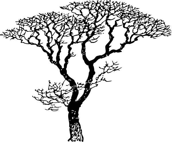 Black And White Tree Drawing (600x497)