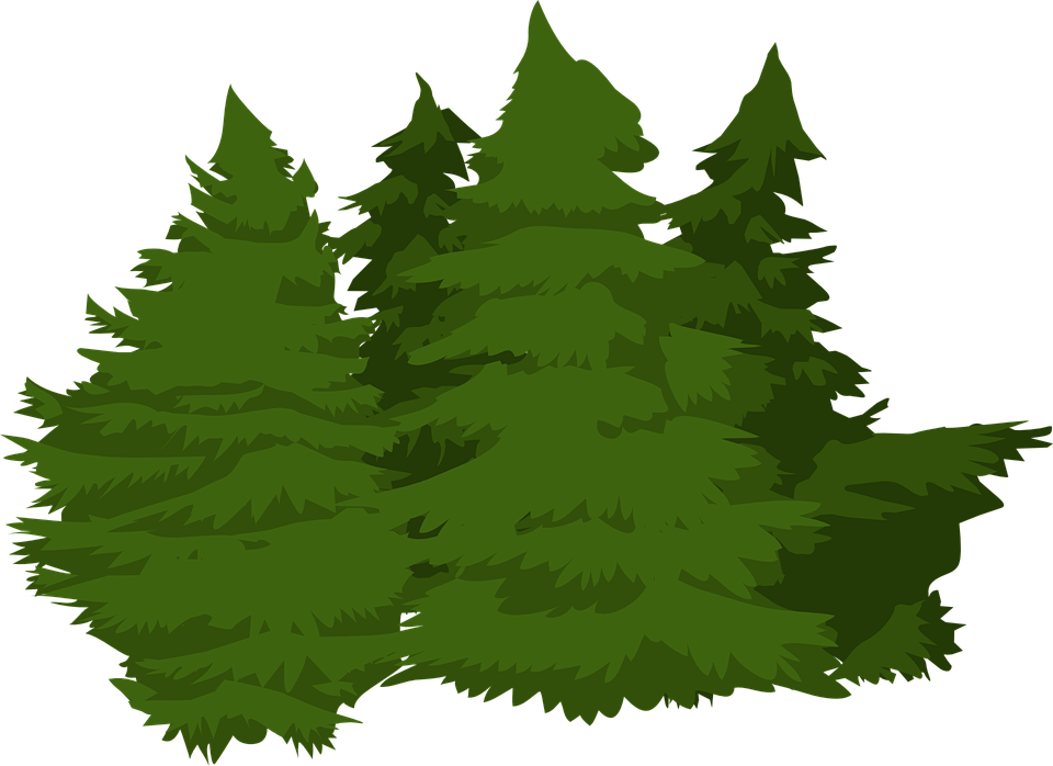 Vector Pine Trees 17, Buy Clip Art - Christmas In The North Woods (960x698)