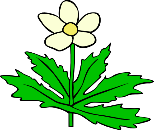 Lisätyt Kuvat - Plants And Flowers Clipart (496x417)