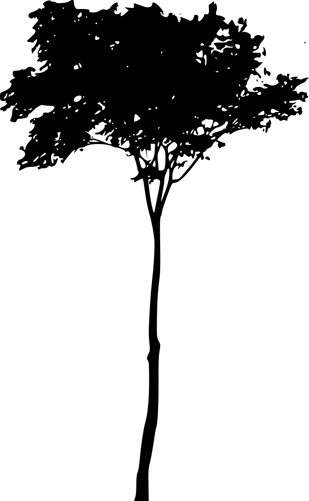 Free Download - Silhouette (1235x2000)