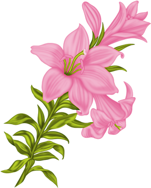 Gd Ss Flowers6 - Flower (313x400)