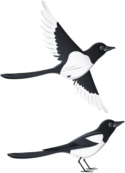 Swallows Png Clipart Picture - Having It All By Maeve Haran (470x600)
