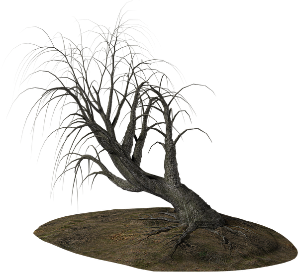 Dead Tree Cartoon 28, Buy Clip Art - Tree (960x548)