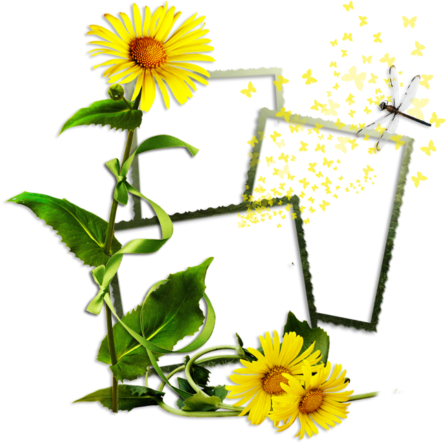 Partager - - Cadres Fleur Jaune Png (650x653)