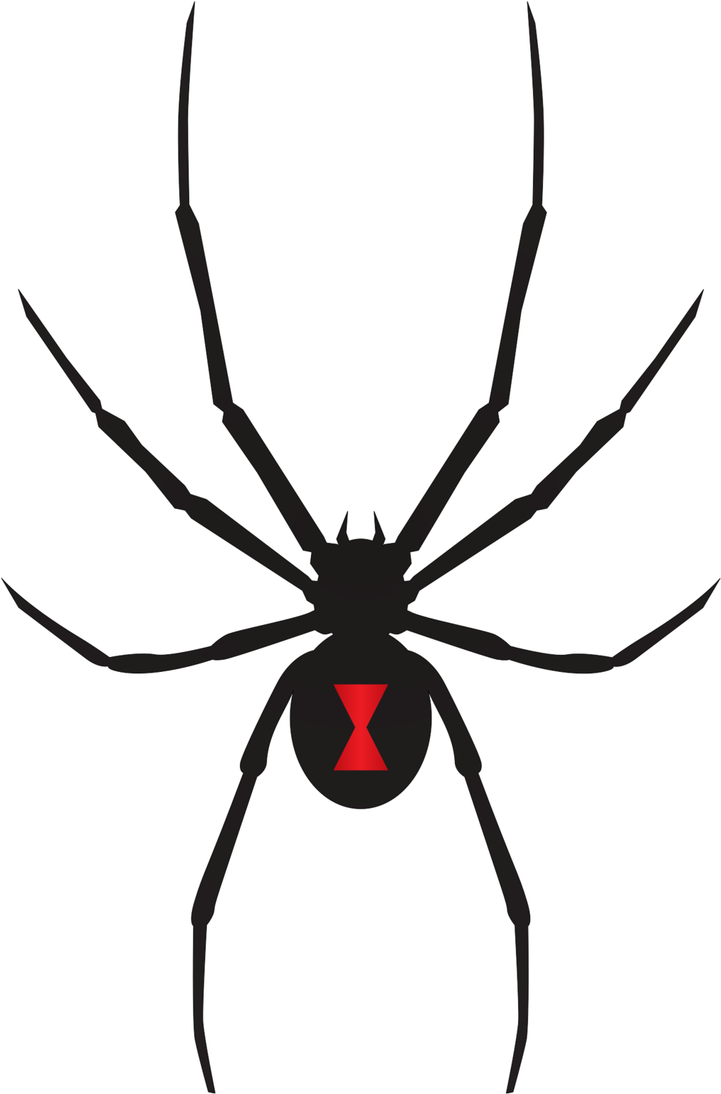 Video Chat Clip Art - Symbol Spider Black Widow (1024x1548)