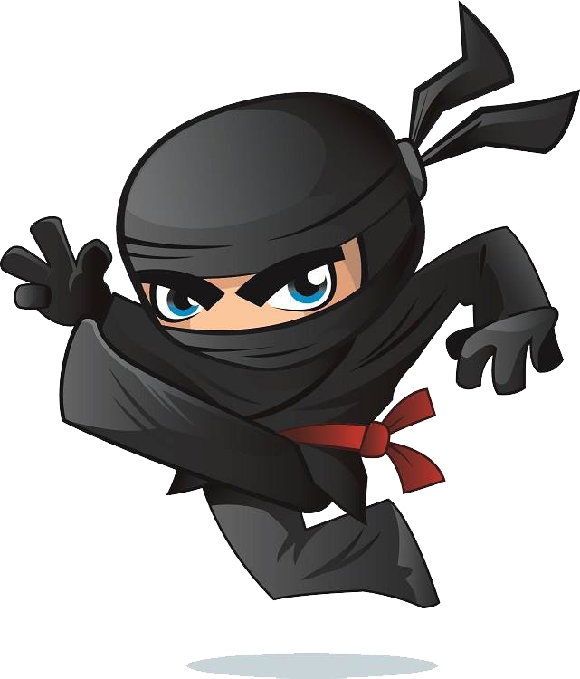 Ninja - Ninja Png (641x750)