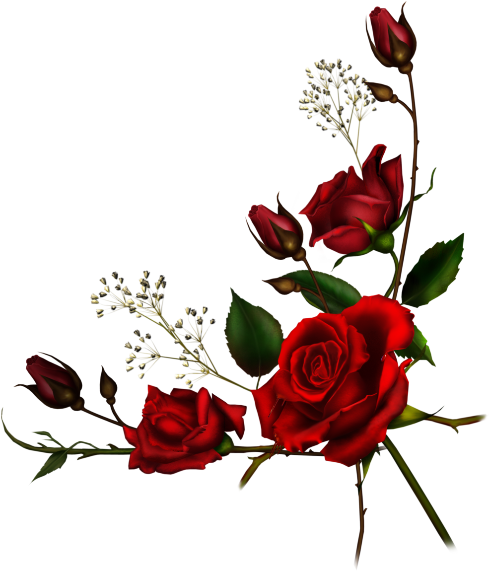 Scrap Embelishments 10 By Collect And Creat - Rose Png (1024x1242)