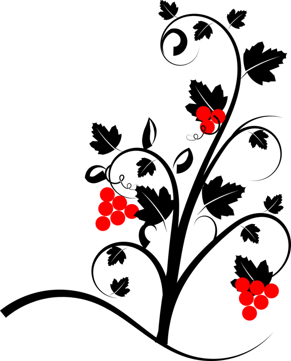 Rose Vine Cliparts - Geometric Vine (581x720)